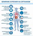 Влияние курения на организм